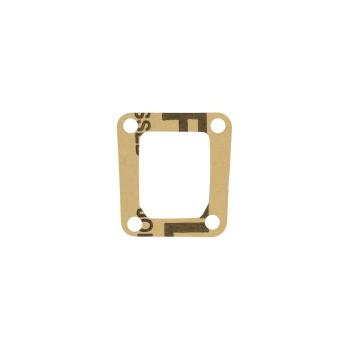 Membrandichtung Polini-Zylinder